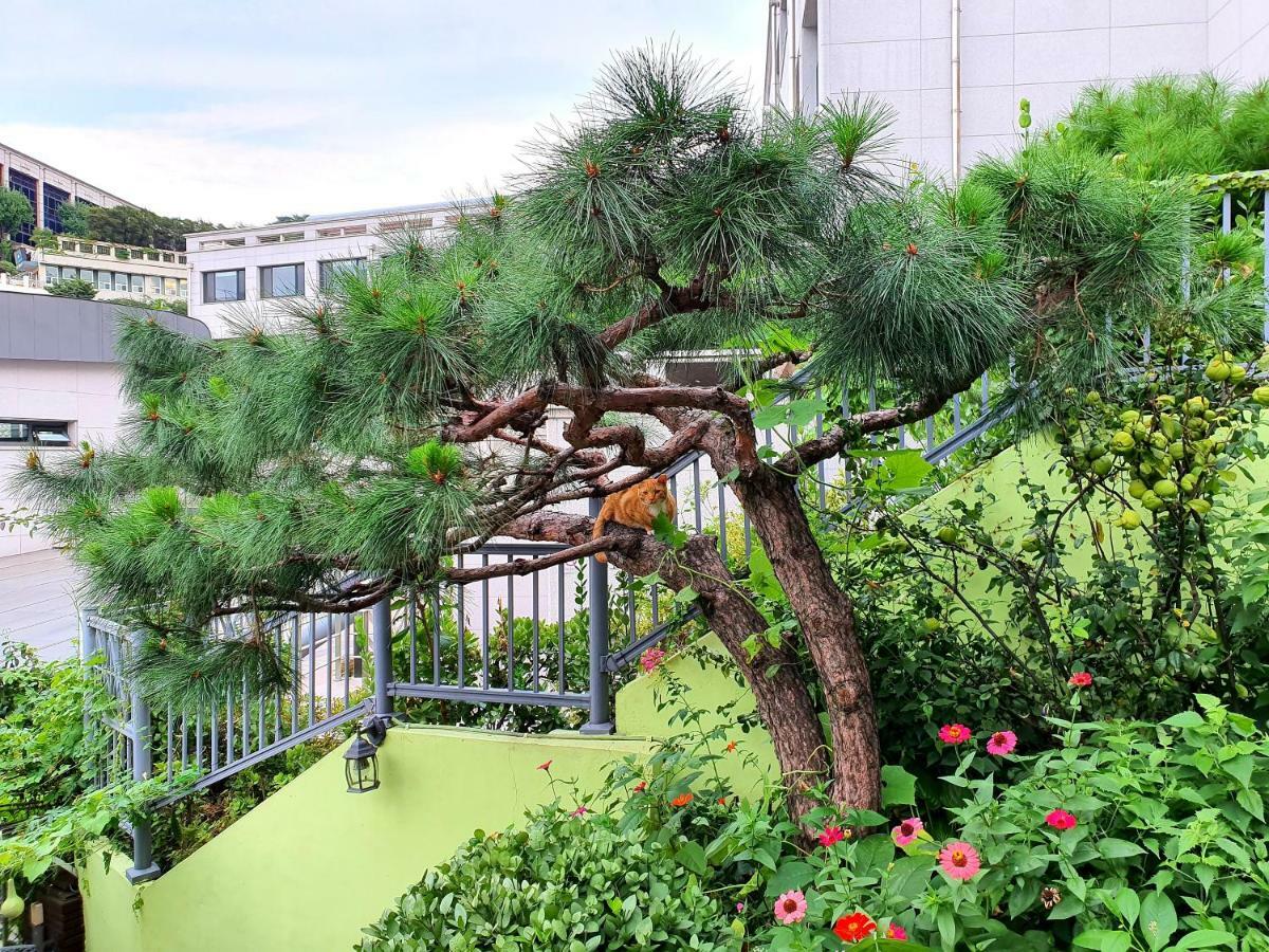 บ้านพัก Happy Garden *